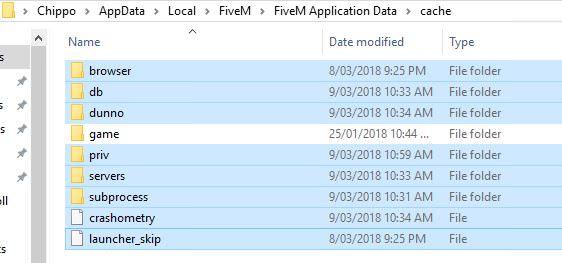 fivem application data download